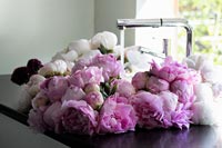 Flowers on kitchen worktop 