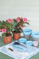 Fabric, painted terracotta pots and saucers, glue, paper template, pencil, scissors, paint brush and flowers, laid out on a table