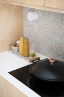 Kitchen detail - ceramic hob and condiments