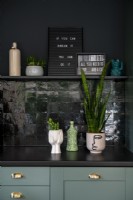Plants and ornaments on kitchen worktop and shelf