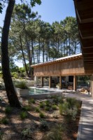 Contemporary wooden hosue with narrow swimming pool 