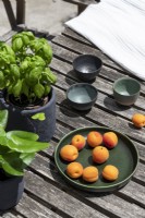Fresh apricots on plate on wooden garden table - detail