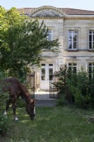 Horse in garden outside large country house