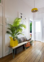 Large houseplant and bench in colourful modern hallway