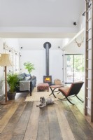 Pet dog in barn style living room