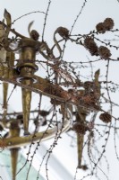 Close up of christmas decorations, branch with fir cones hanging on a chandelier