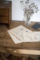 Old botanical drawings on rustic wooden desk next to vase of flowers 