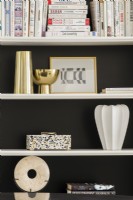 Books and ornaments displayed on white shelves with painted black background.