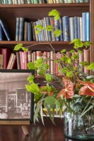 Vase of spring foliage and Anthurium house plant in country house library