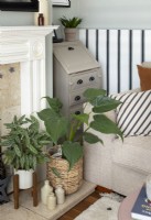 Detail of houseplants on hearth of fireplace in modern living room