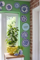 Display of blue and white plates on green wall - detail