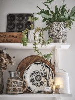Detail of Shelves with pots, houseplants and kitchen accessories