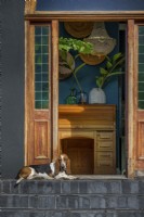Front door with pet dog on stairs 