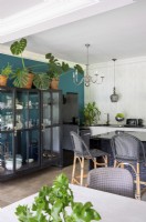 Glass fronted kitchen cabinet with plants