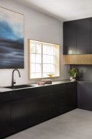 Contemporary Kitchen with black cabinets

