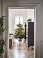 View from doorway to black cabinets and Christmas tree in living room