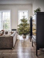 Black cabinets and Christmas tree in front of grand windows