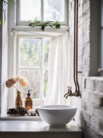 White sink with exposed pipes and plant arrangements 