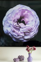 Close up of photograph of purple flower with black background and purple vase and crystals.