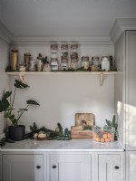 Storage jars and decorative plants in modern kitchen