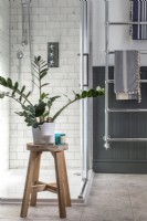 Detail of wooden stool and pot plant in classic bathroom