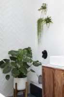 House plants in the bathroom