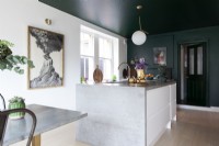 Modern green and concrete kitchen
