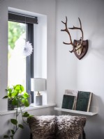 Display of house plants, books, antler wall art and faux fur cushion in front of window