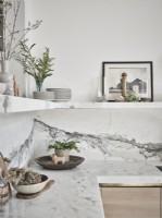 House plant arrangements on marble kitchen surfaces