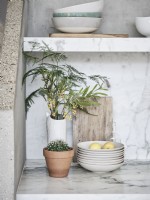 House plant arrangement and ceramic bowls in minimalistic display