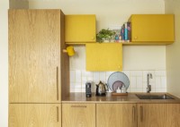 Retro Kitchen Cabinets in Barbican Apartment