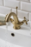 Detail of vintage style gold taps 
