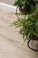 Detail of houseplants on laminate flooring 