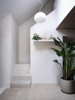 Hallway with houseplants