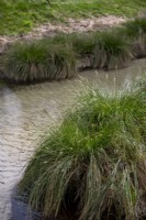 View of grassy bank of stream