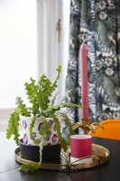 Dining table detail with gold tray, plant and pink candle.
