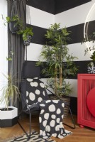 Corner detail in an open plan living room, with black and white striped walls, plants and a modern red cabinet.