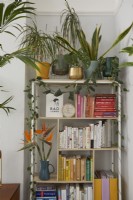 Living room corner showing colour coded bookshelves and plants.