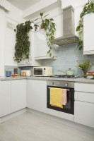Kitchen with blue metro tiles, hanging plants and a green saucepan.