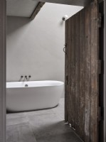 Mid-century Barn style Bathroom 