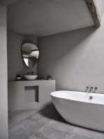 Mid-century Barn style Bathroom