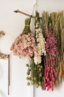 Bunches of dried flowers hanging from a suspended stick