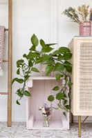 House plant on a recycled pale pink painted crate