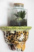 Ceramic leopard shelf with tiny terrarium 