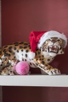 Ceramic leopard ornament decorated for Christmas 
