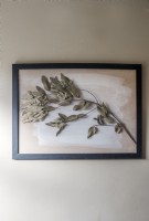 Detail of framed artwork - dried foliage