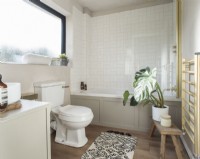 Houseplant in modern neutrally decorated bathroom