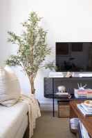 Corner of living room with olive tree, tv and server