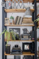Shelving with retro decorations and color-coded books