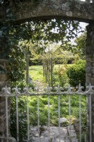 View over gate of country garden 